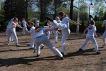 Capoeira Boa Vontade Lounaispuistossa, Kuva: Johanna Kuikka